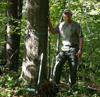 Forest Management Services